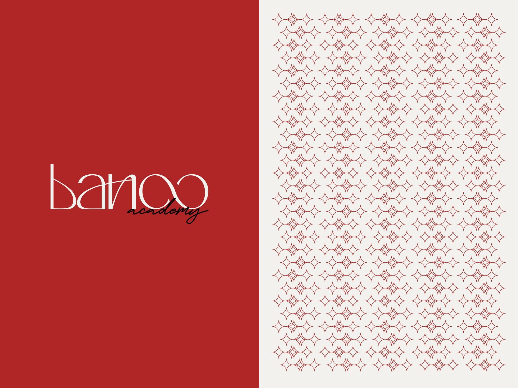 The banoo academy logotype beside its repeating star pattern