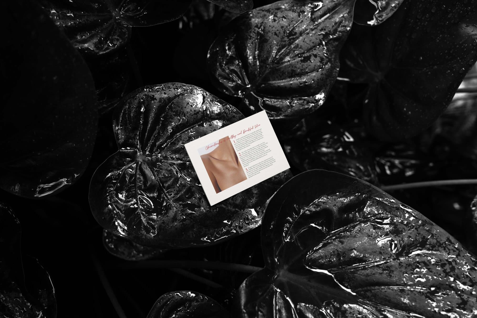 Business card among black wrapping