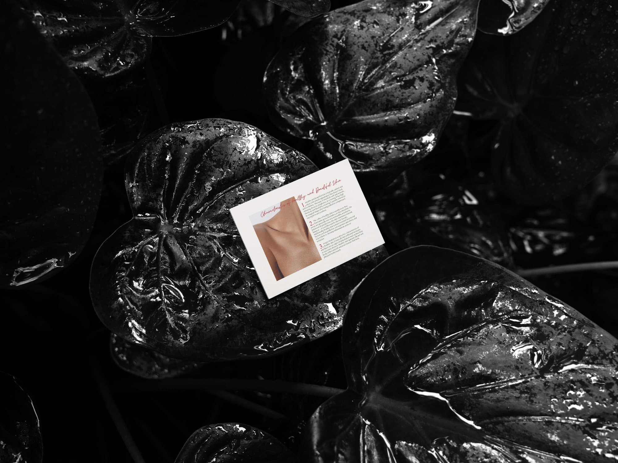 A Banoo card resting among dark foliage