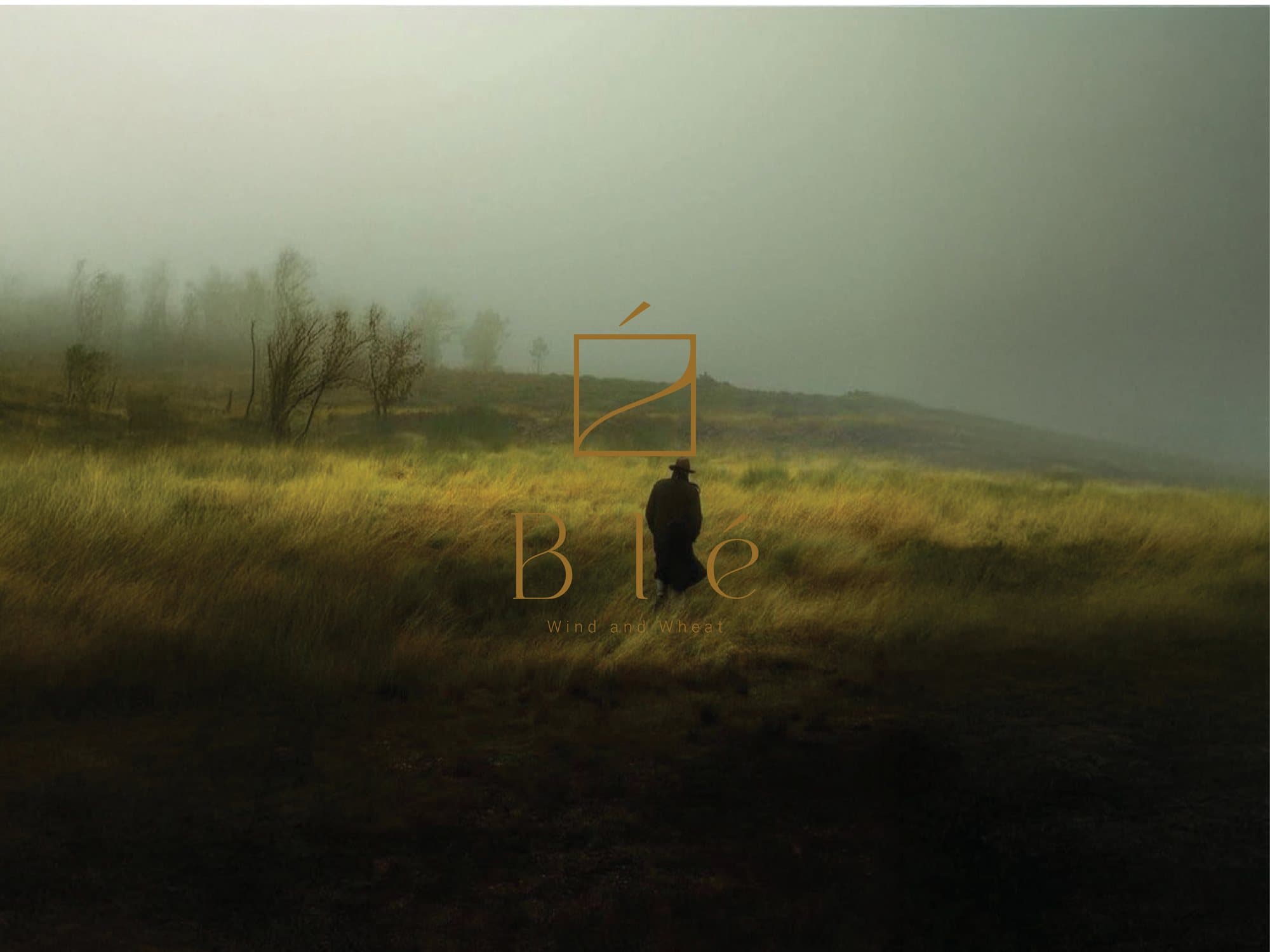 Golden wheat pastures in mist — the image behind Blé, Wind and Wheat