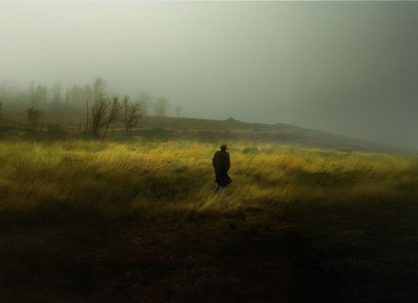 Golden wheat pastures — the image behind Blé
