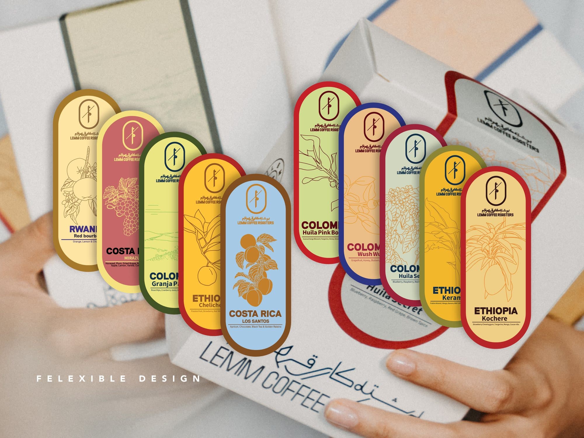 The origin labels across the range, held as a fan