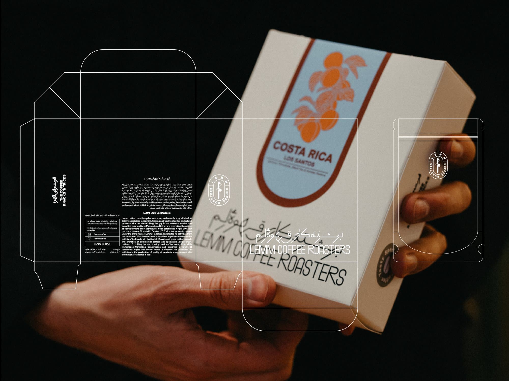 The Lemm die-cut structure drawn over the finished box