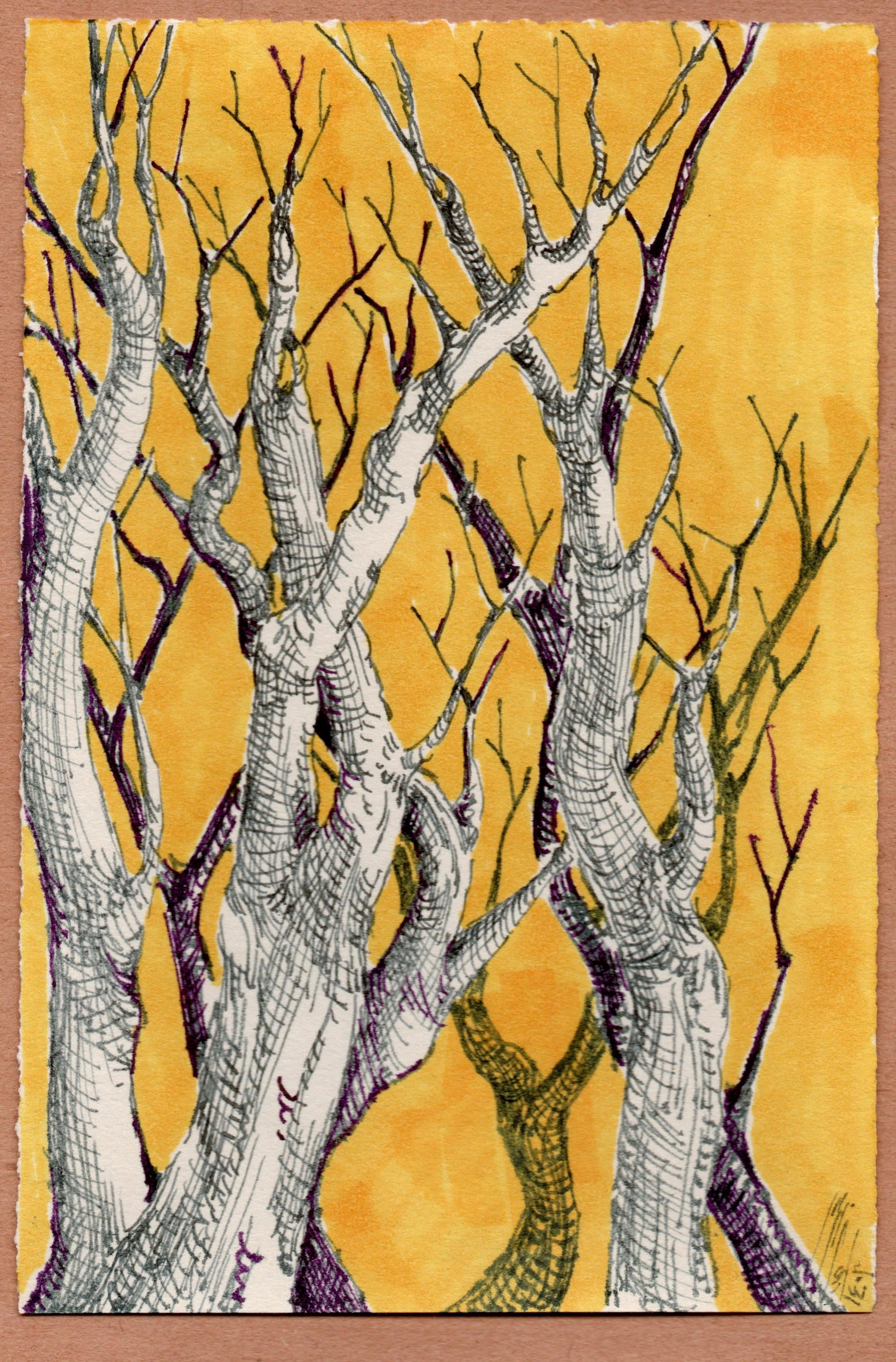 Tree — bare trunks in ink against an ochre ground