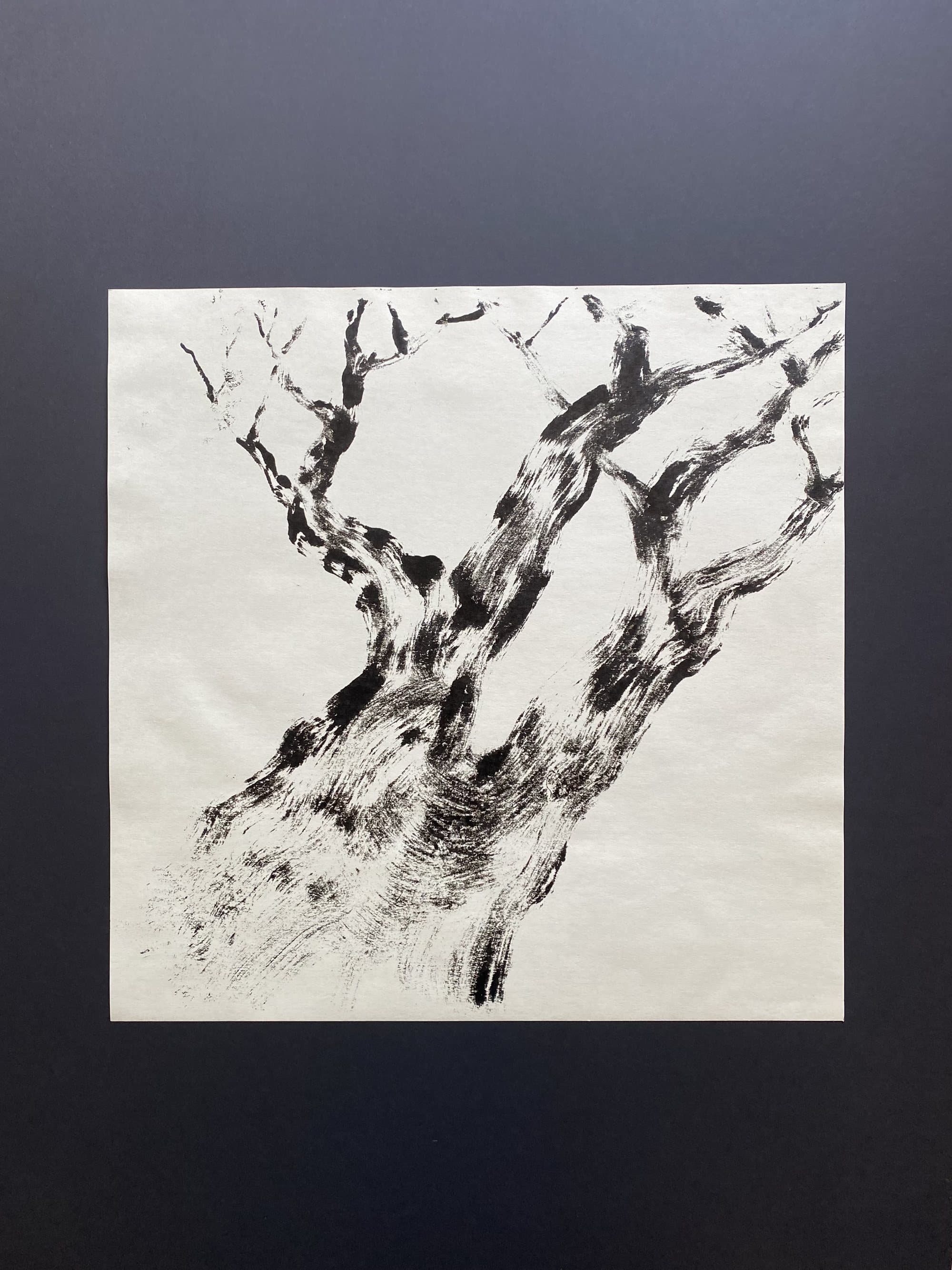 Tree — ink and monoprint on paper (9)