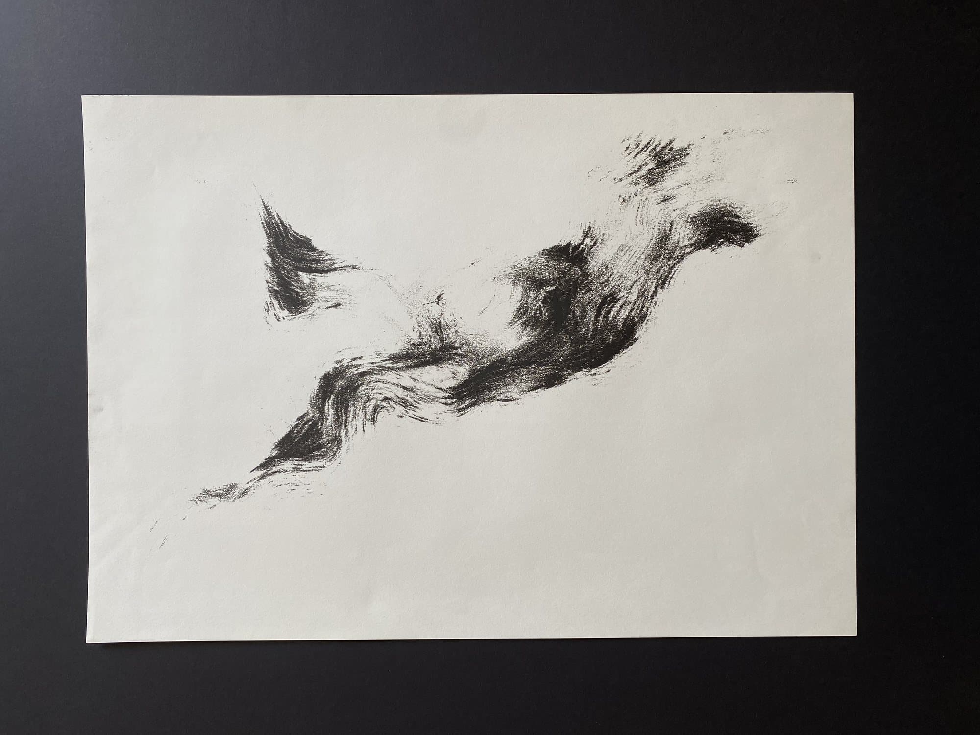 Tree — ink and monoprint on paper (12)