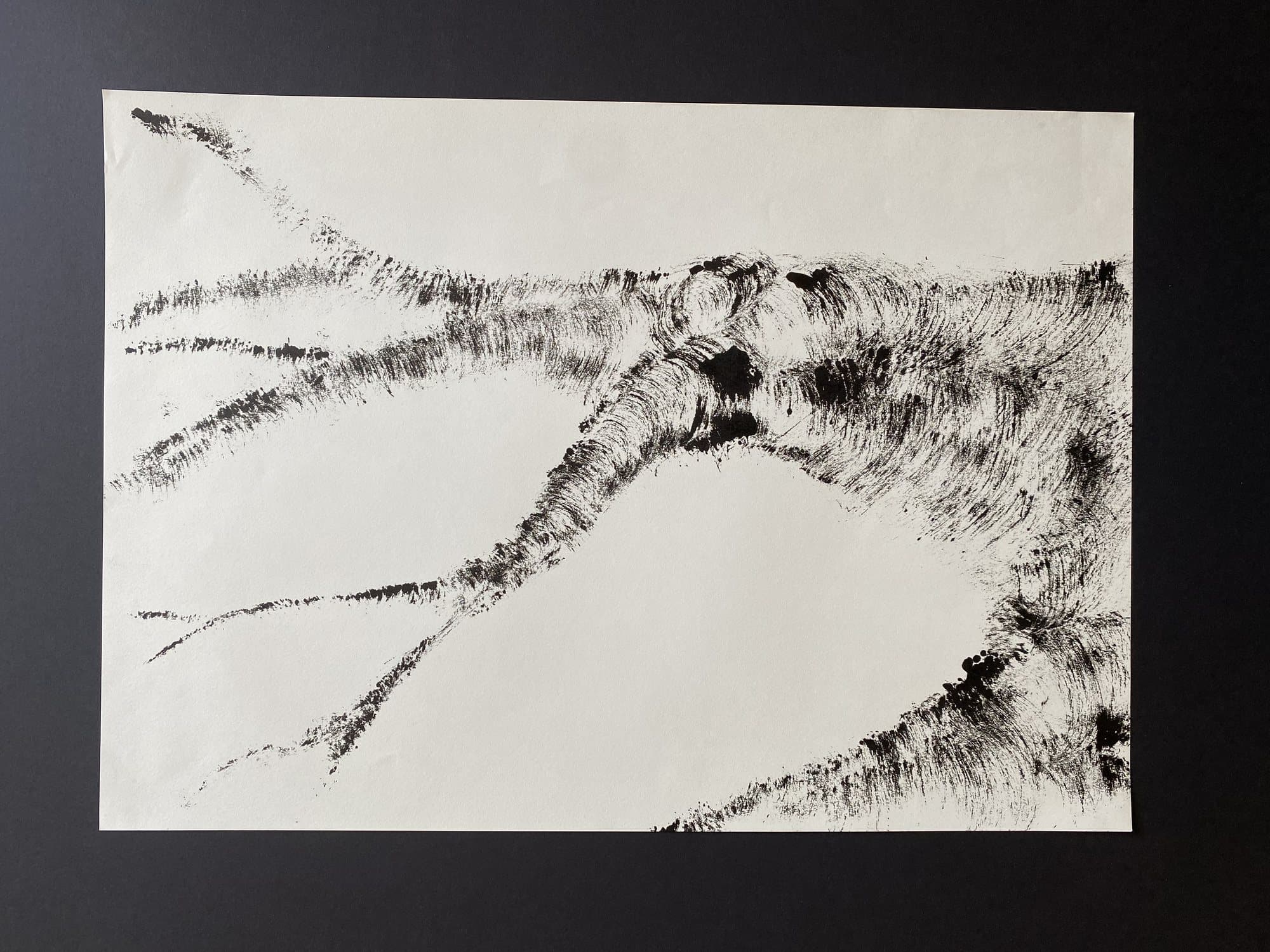 Tree — ink and monoprint on paper (15)